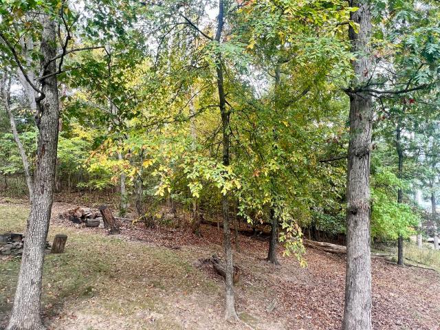 Land for sale in Goreville, Illinois