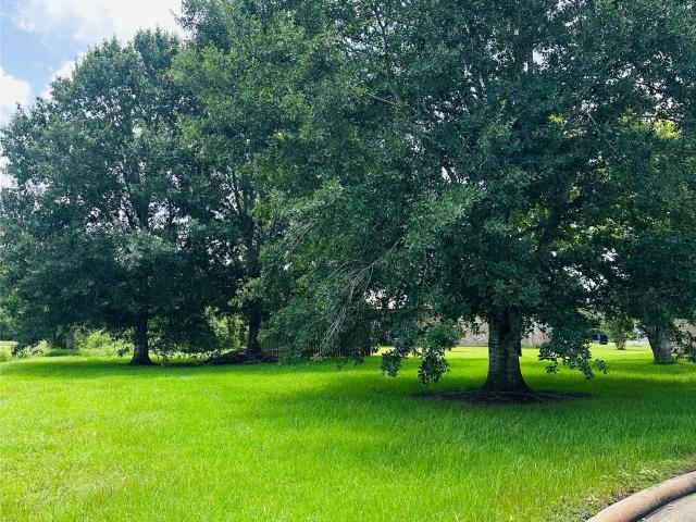 Land for sale in Angleton, Texas