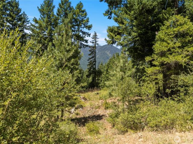 Land for sale in Ronald