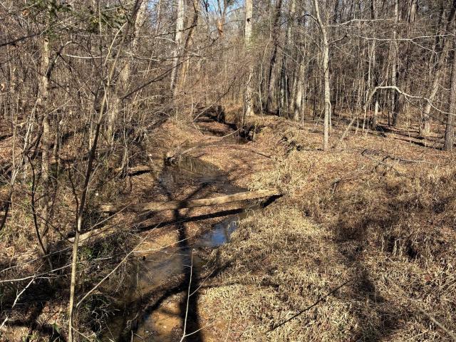 Land for sale in Talbot, Georgia