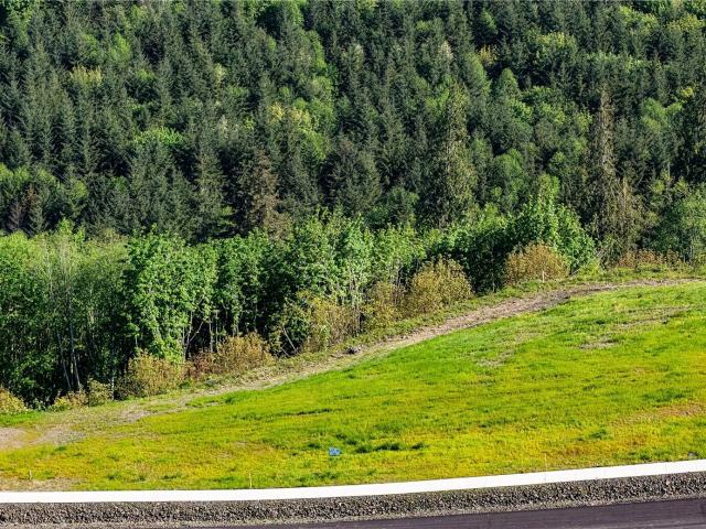 Land for sale in Kalama, Washington