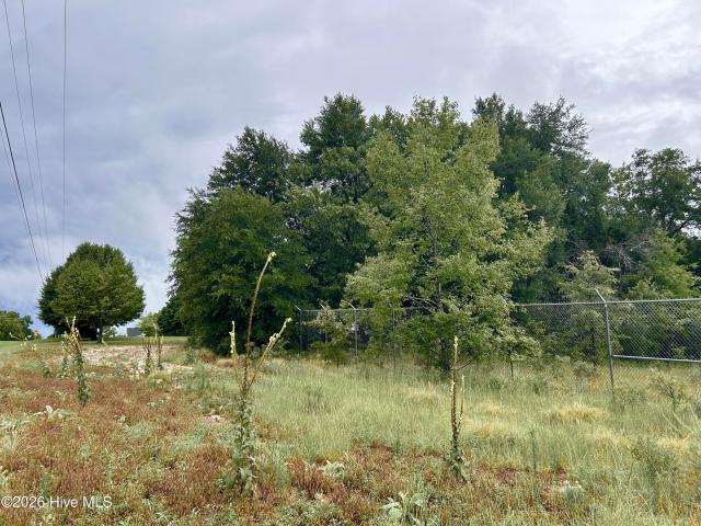 Commercial for sale in Hamlet, North Carolina