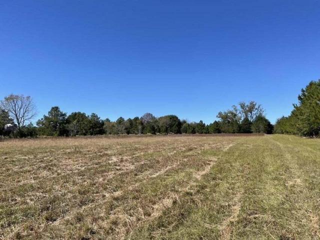 Land for sale in Olar, South Carolina