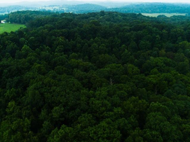 Land for sale in West Virginia