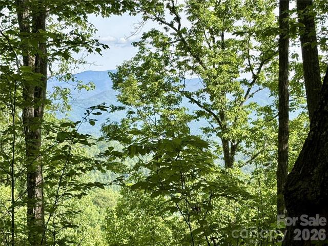 Land for sale in Bryson City, North Carolina