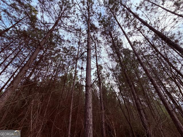 Land for sale in Baldwin, Georgia