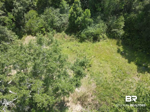 Land for sale in Mobile County Commission District 1, Prichard