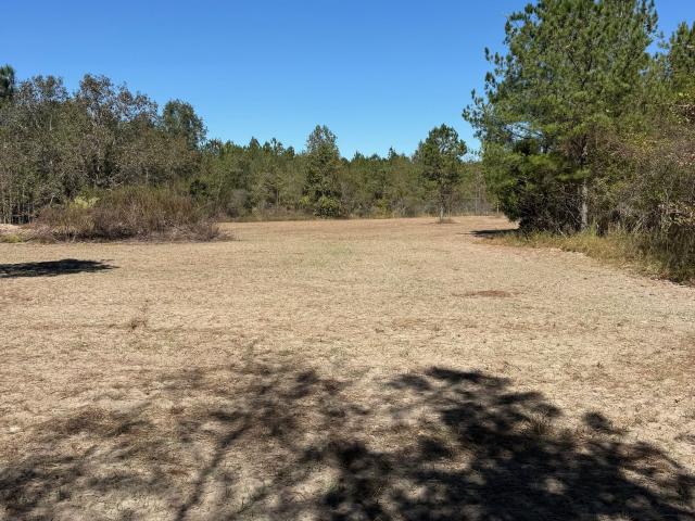Land for sale in Roberta, Crawford County
