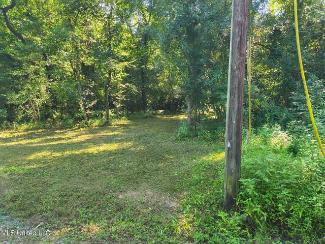 Land for sale in Lucedale, Mississippi