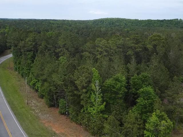Land for sale in Rockingham, North Carolina