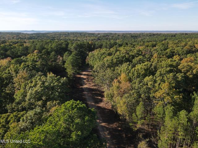 Land for sale in Grenada, Mississippi