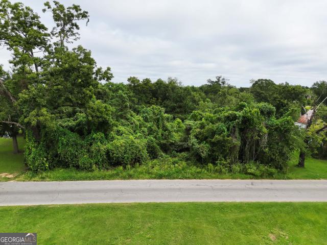 Land for sale in Pelham, Mitchell County