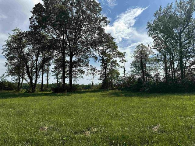 Land for sale in Tennessee