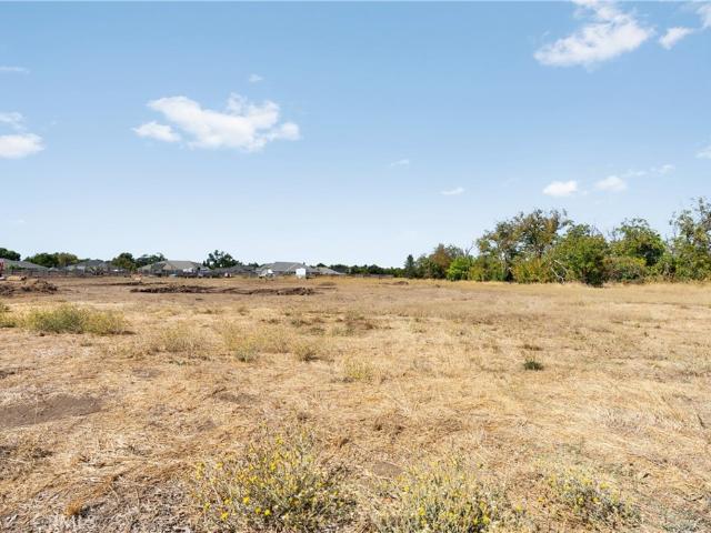 Land for sale in Butte, California