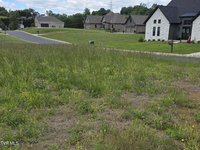 Land for sale in Tennessee