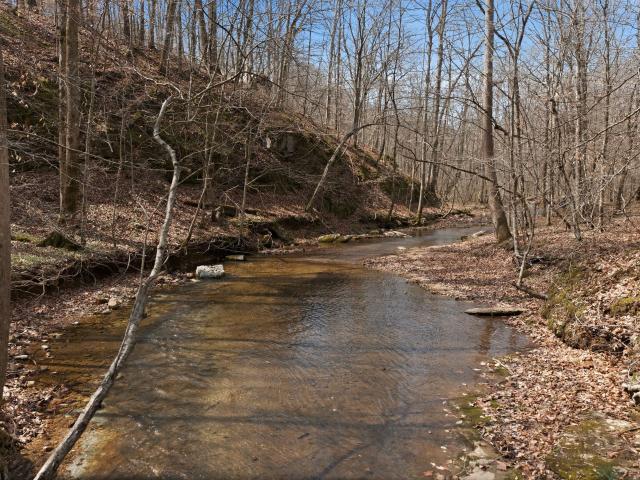 Land for sale in Tennessee