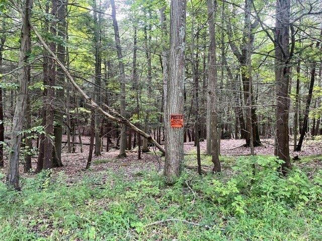 Land for sale in Ithaca, New York