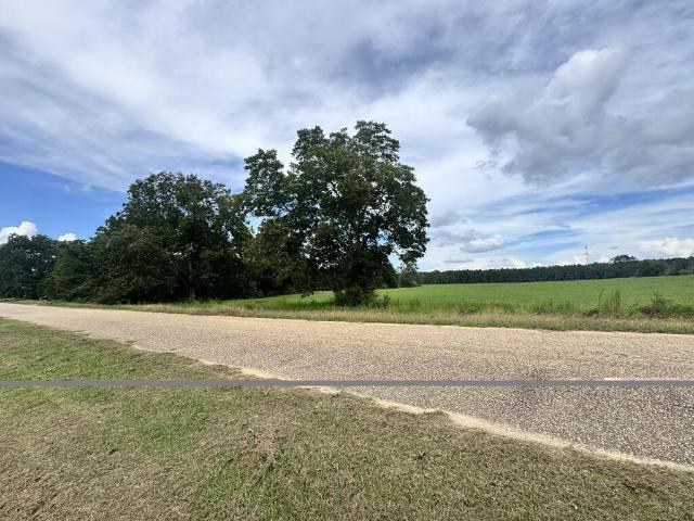 Land for sale in Dothan, Alabama