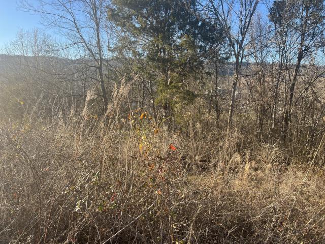 Land for sale in Trenton, Georgia