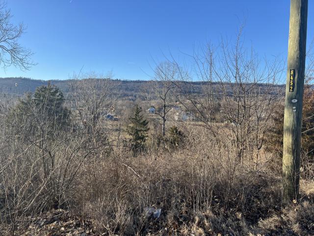 Land for sale in Trenton, Dade County