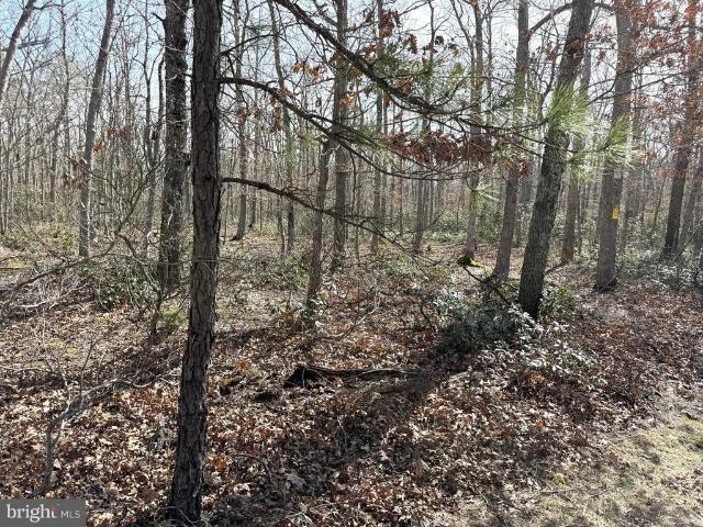 Land for sale in Barnegat, New Jersey