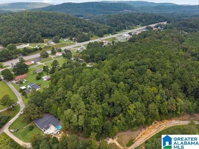 Land for sale in Blount, Alabama
