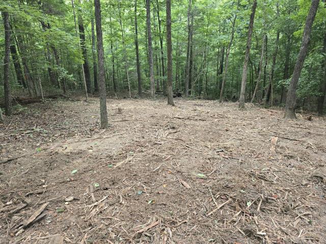 Land for sale in Tennessee