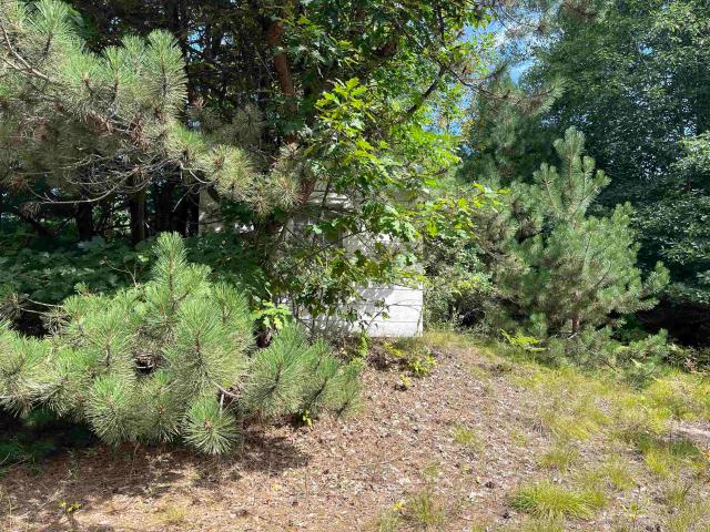 Land for sale in Greenbush, Michigan