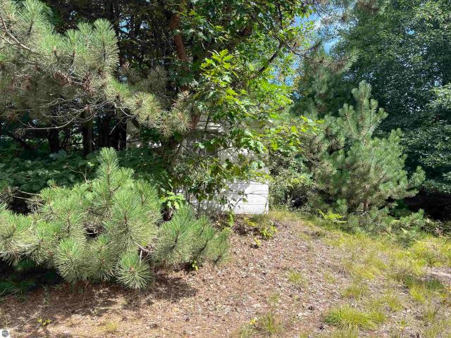 Land for sale in Greenbush, Michigan
