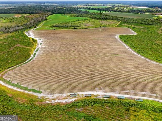 Land for sale in Nicholls, Coffee County