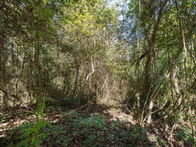 Land for sale in Pineview, Irondale