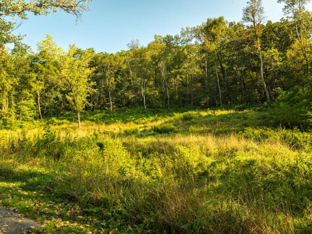 Land for sale in Town of Hamburg, Vernon County