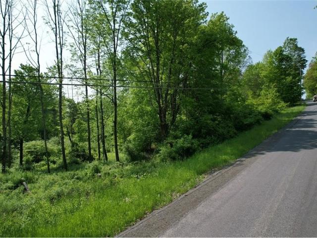 Land for sale in Oneonta, New York