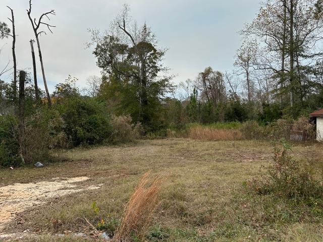 Land for sale in Helena, Georgia