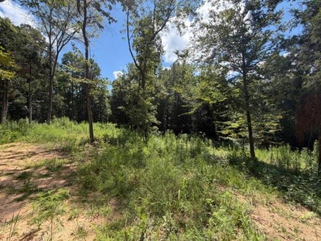 Land for sale in Tennessee