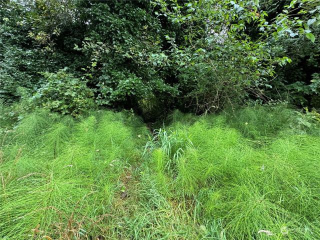 Land for sale in Aberdeen, Washington