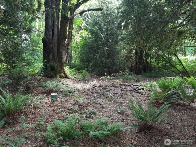 Property for sale in Concrete, Washington