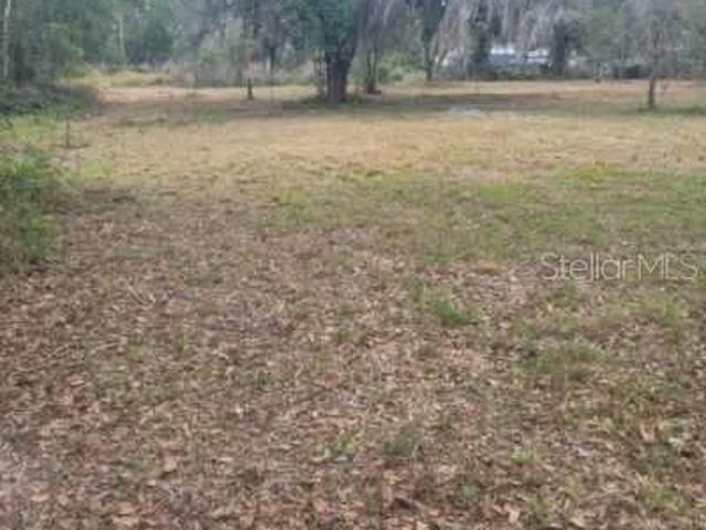 Land for sale in Mulberry, Florida