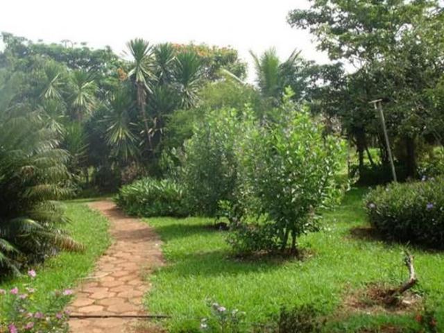Sítio e chácara venda em Senador Canedo, Região Geográfica Intermediária de Goiânia
