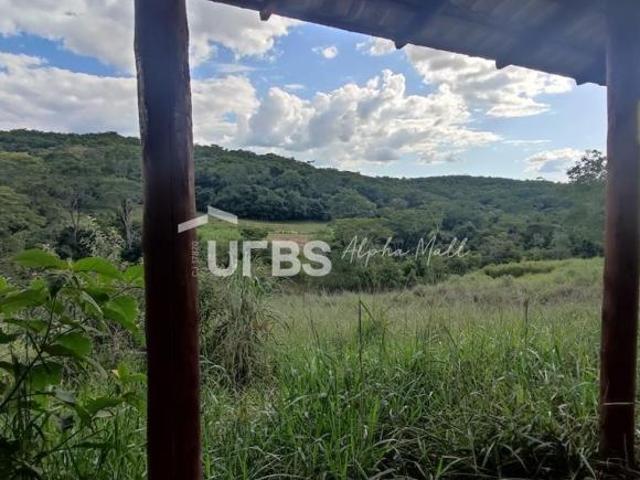 Sítio e chácara venda em Leopoldo de Bulhões, Região Geográfica Intermediária de Goiânia