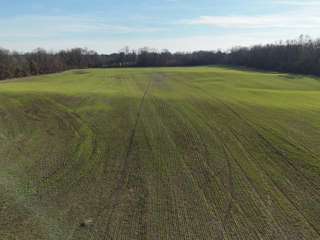 Land for sale in Tennessee