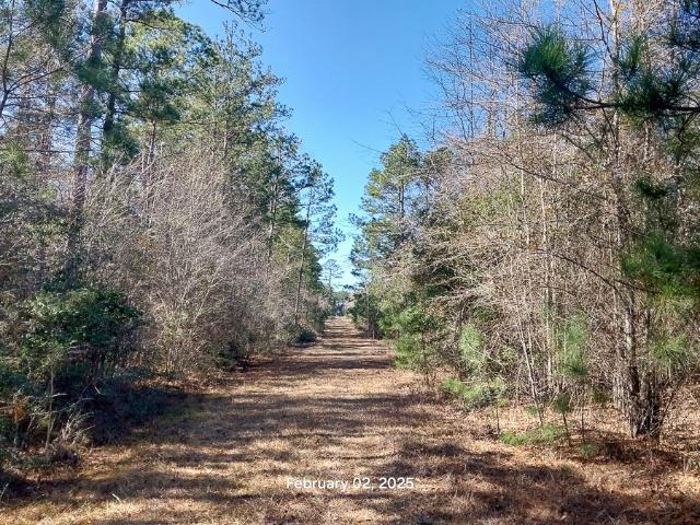 Property for sale in Zavalla, Texas