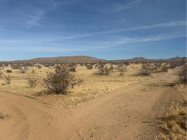 Land for sale in Oro Grande, California