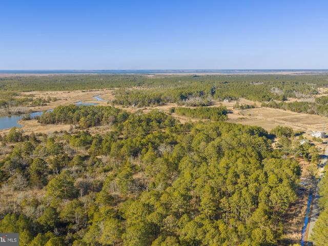 Land for sale in Princess Anne, Maryland