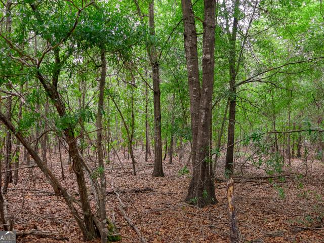 Land for sale in Girard, Georgia