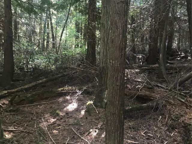 Land for sale in Lopez Island