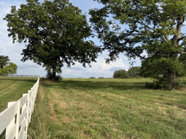 Land for sale in Tennessee