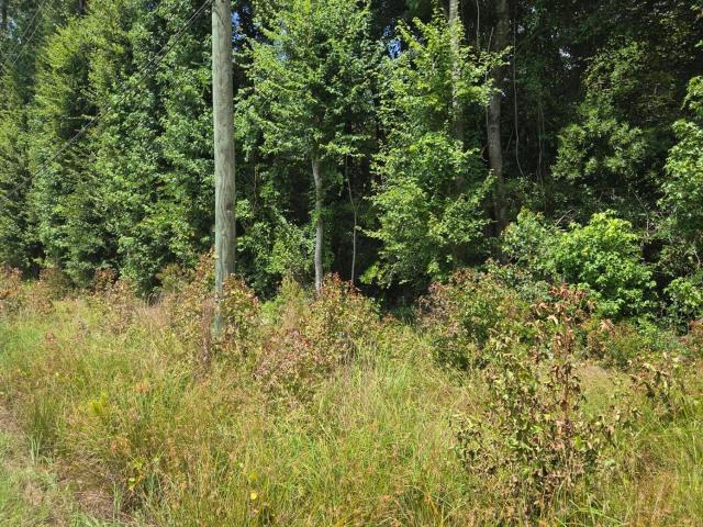 Land for sale in Grifton, North Carolina