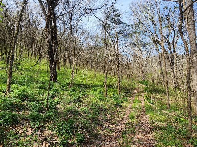Land for sale in Tennessee