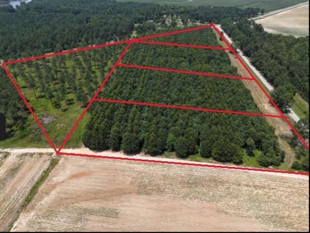 Land for sale in Waynesboro, Georgia